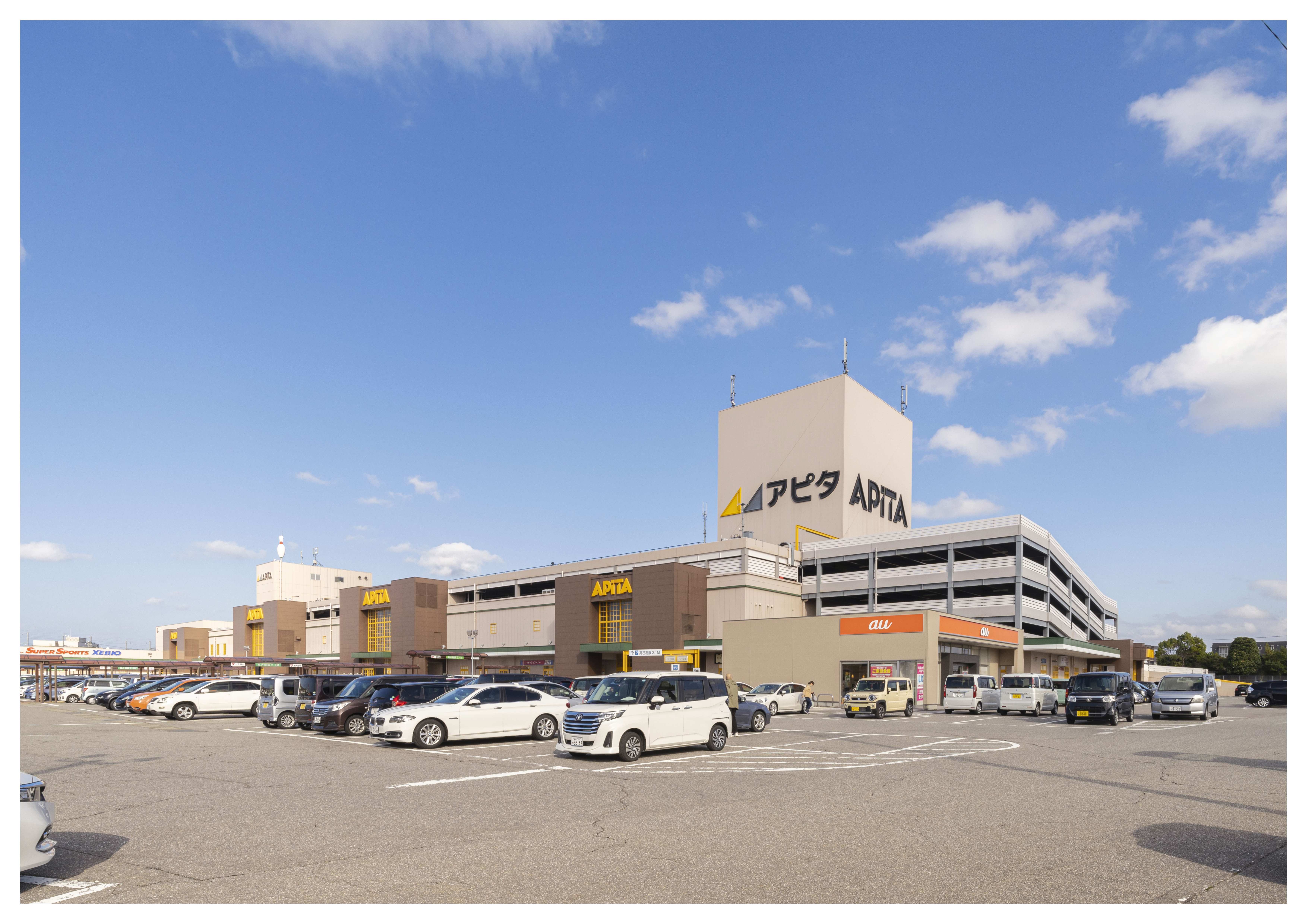 アピタ富山東店まで徒歩約17分（1.370ｍ）