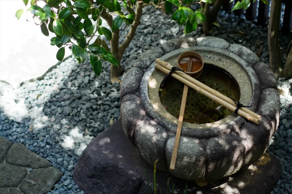 中庭