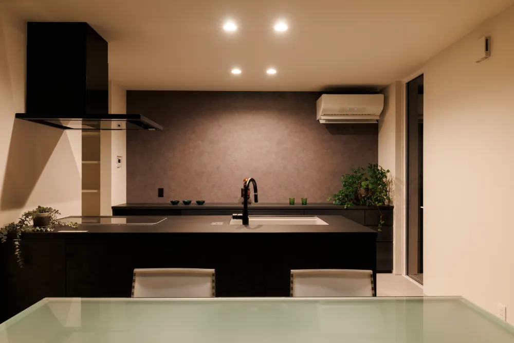 モノクロスタイリッシュな平屋