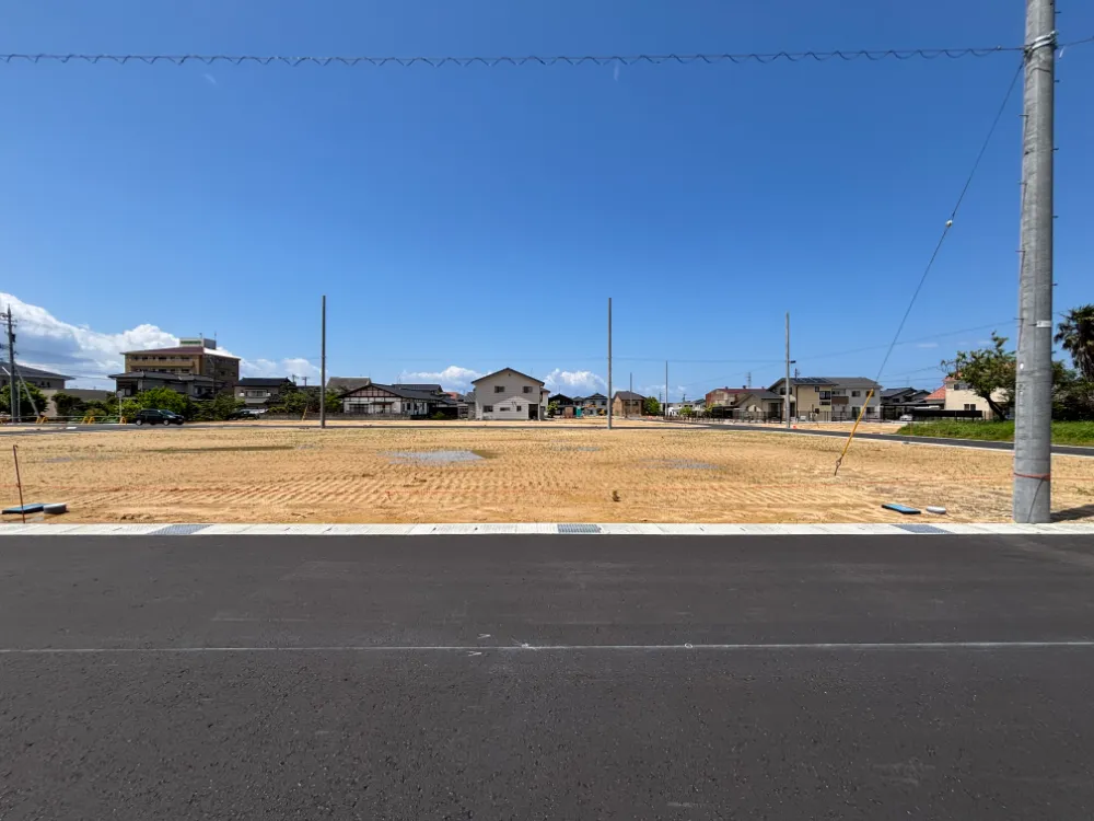 16号地