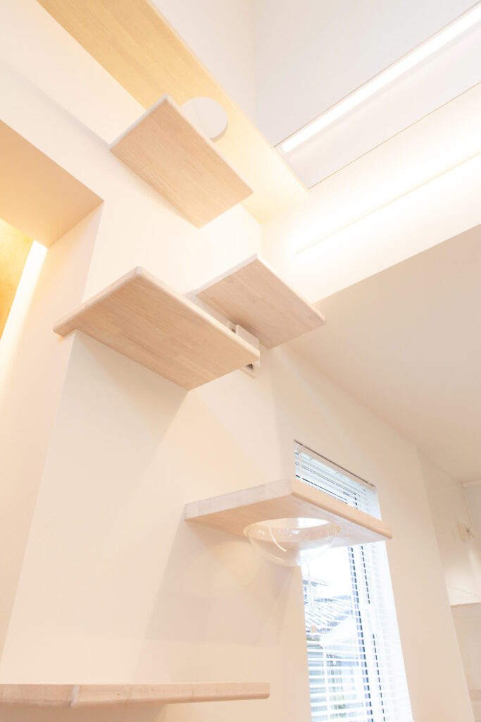 リビングの壁に設えた、猫専用の空中アスレチック