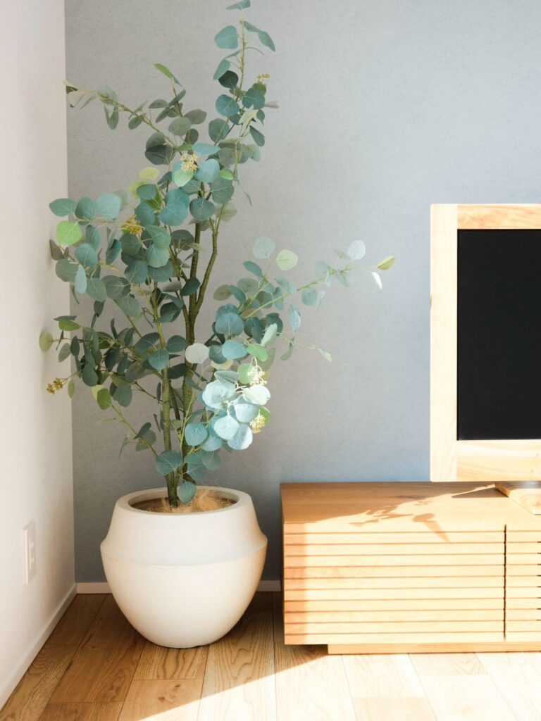 家を大きく「しない」という選択肢