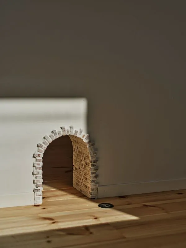 『猫と共に暮らす家』