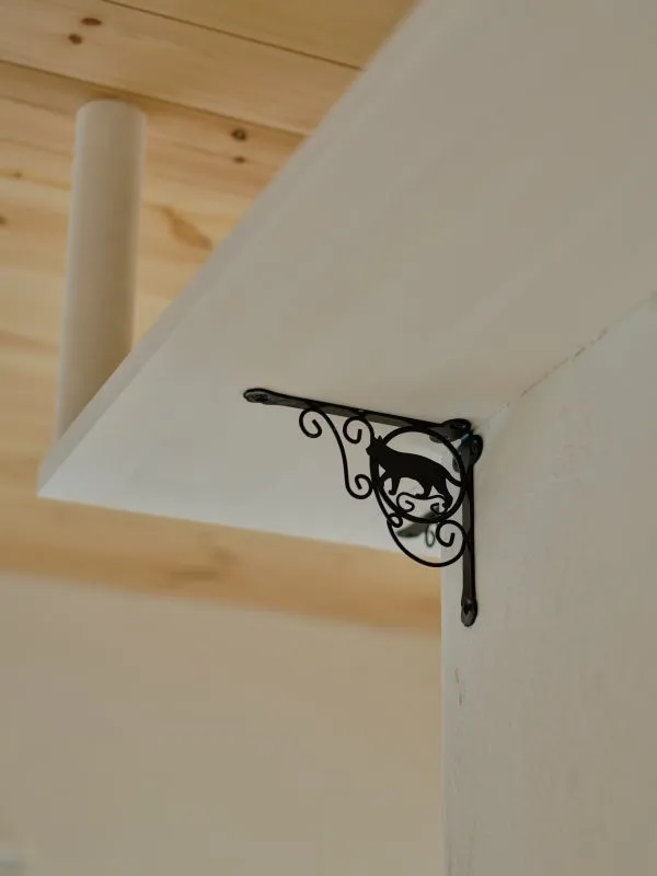 『猫と共に暮らす家』