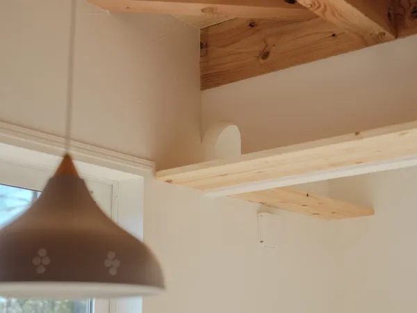 愛猫と暮らす、心も体もあたたかい家