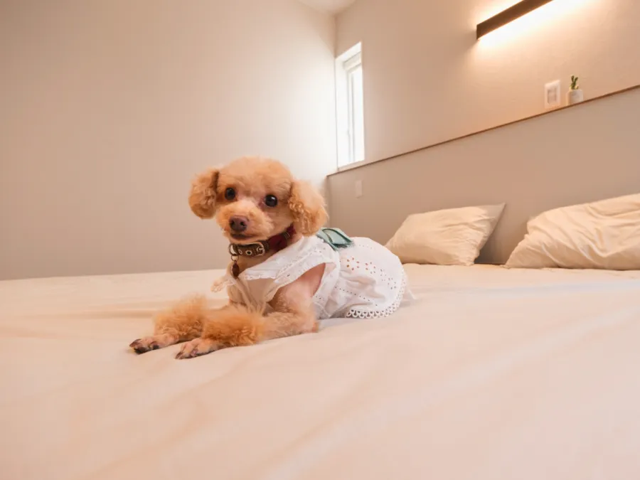 ※一部掲載写真は完成イメージ（AI生成）を含みます。